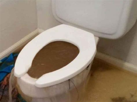 port moody clogged toilet repair|Fix & Co. Restore Ltd .
